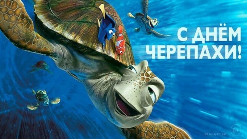    С Всемирным днем черепахи Фото: bipbap.ru