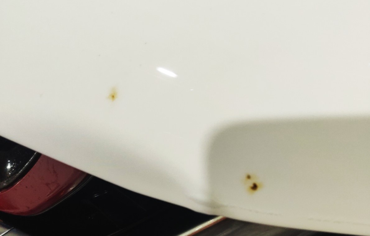 Рыжики на капоте Belgee X50