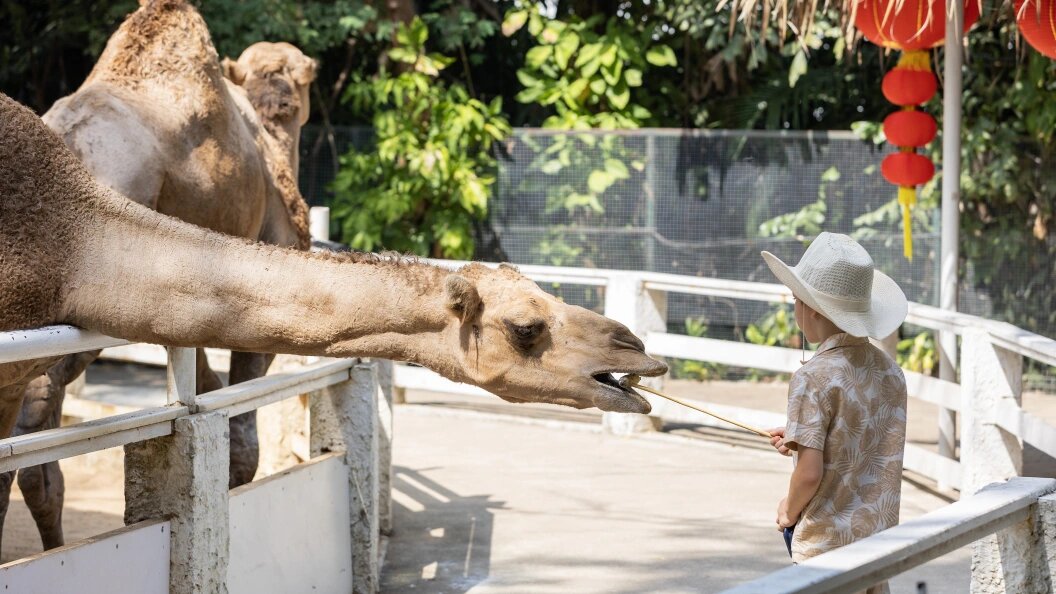    Фото: Aleksey Smyshlyaev/Global Look Press