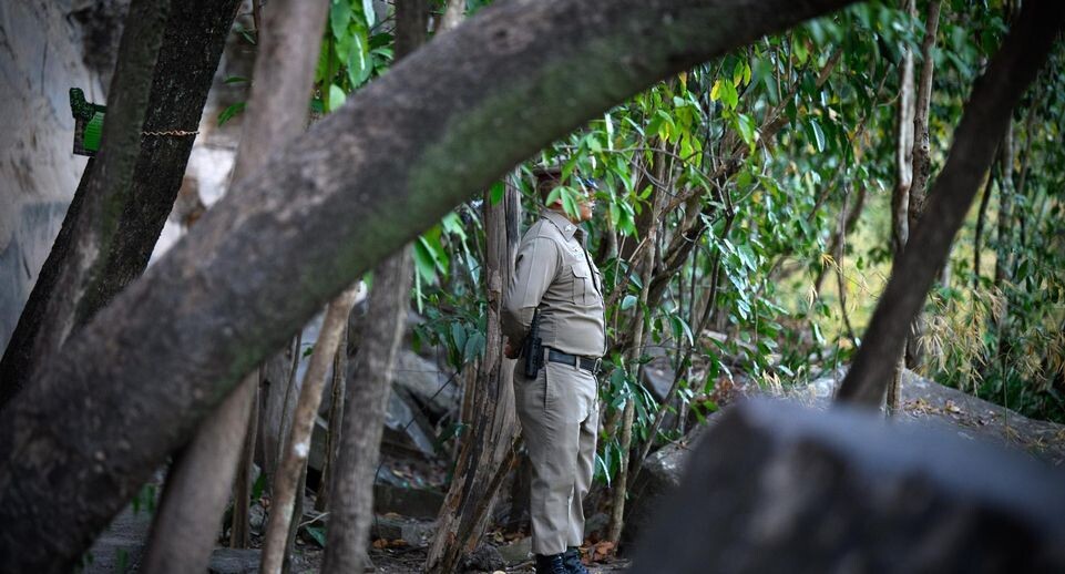    Bernd von Jutrczenka/dpa / www.globallookpress.com