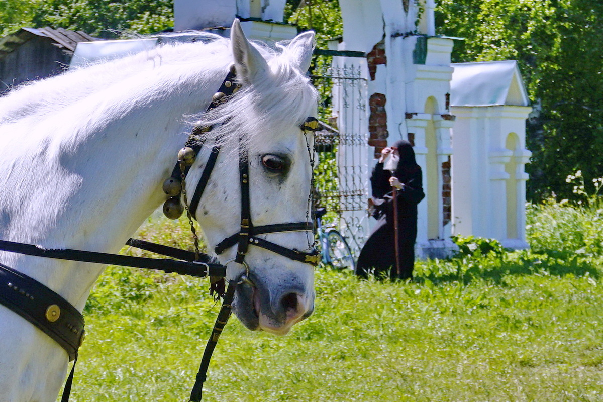Все фото здесь мои, из прошлых "отпусков". Все домашние, русские...