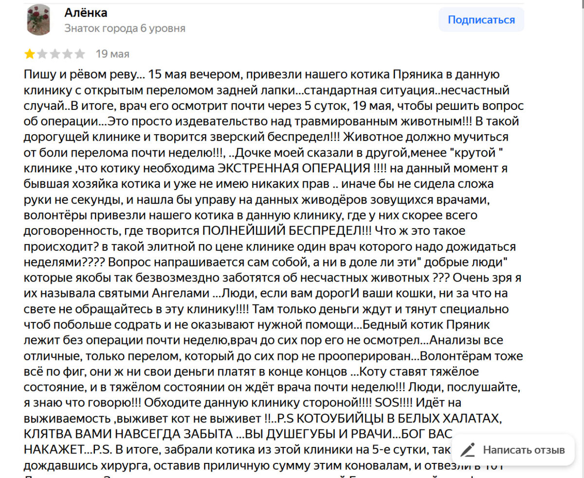 Отзыв на яндексе от неадекватной хозяйке о клинике, про которую она знает только, что Пряника туда поместили