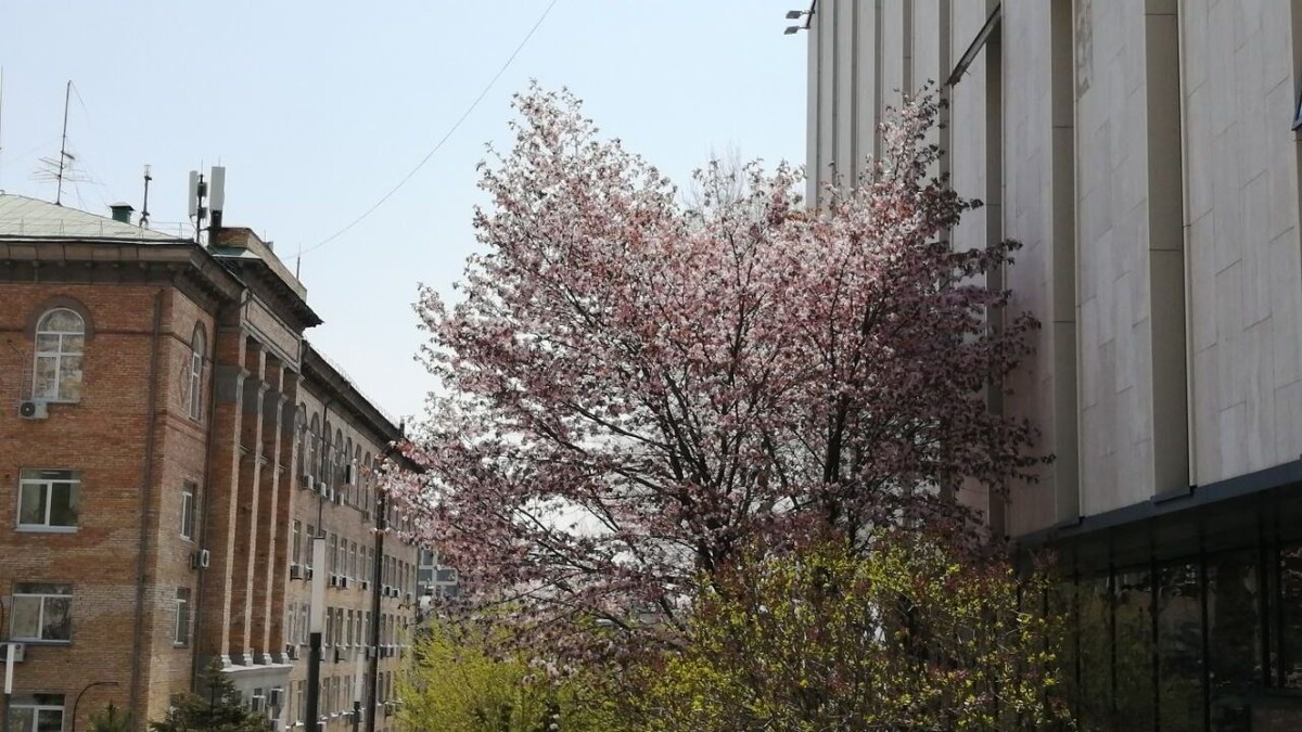     Источник: vostokmedia.com