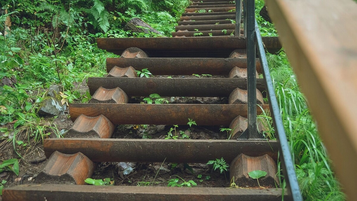     Источник: 1MI