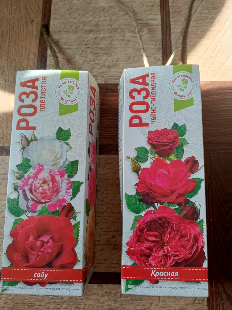 фото автора: такие розы предлагает Светофор