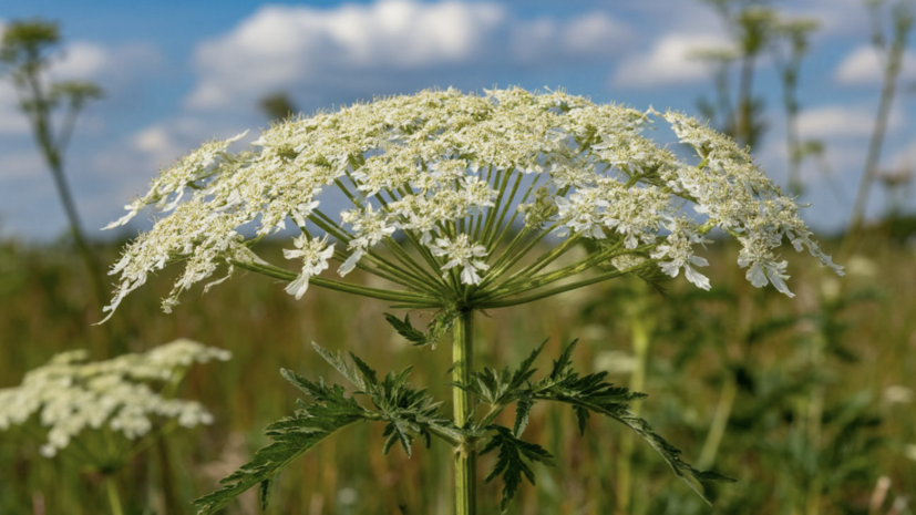    Сгенерировано с помощью ИИ