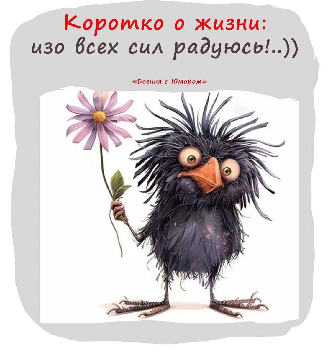 Мотиватор из интернета