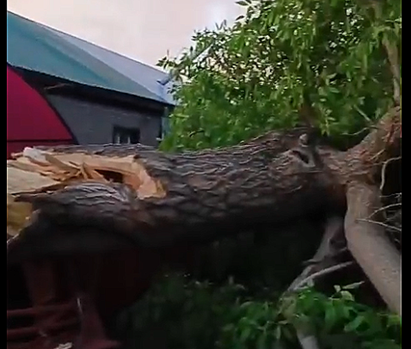    Скриншот записи последствий урагана