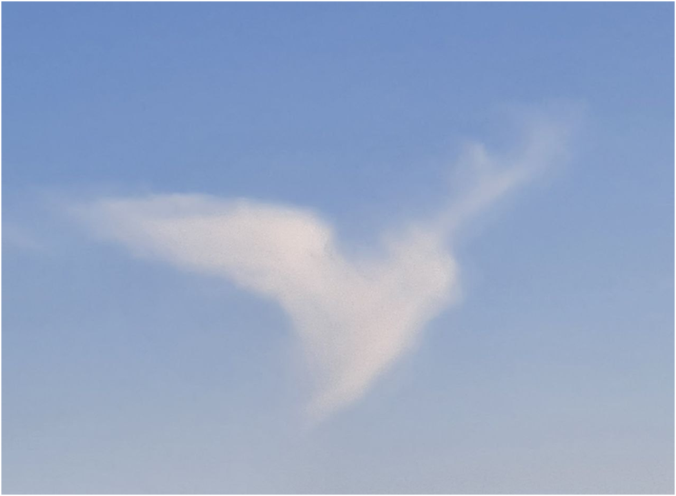 Посмотрела на Небо, а оно Настоящее, Тихое, Душевное