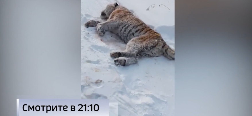    Источник фото: