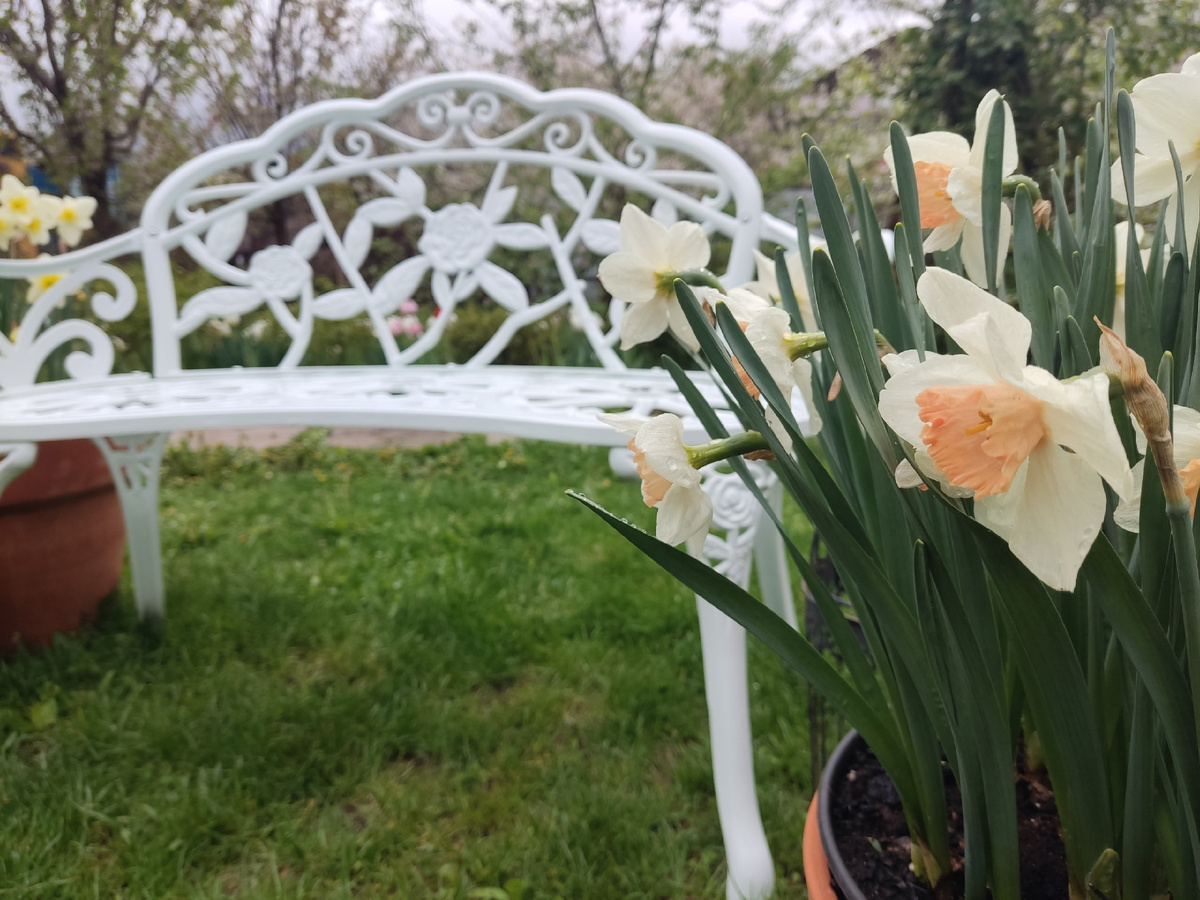 С другой стороны