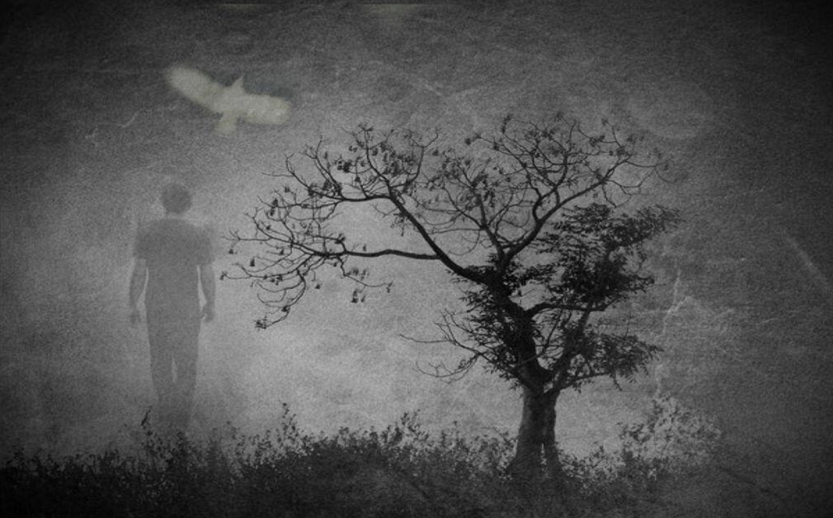 Изображение взято из открытых источников интернета. 