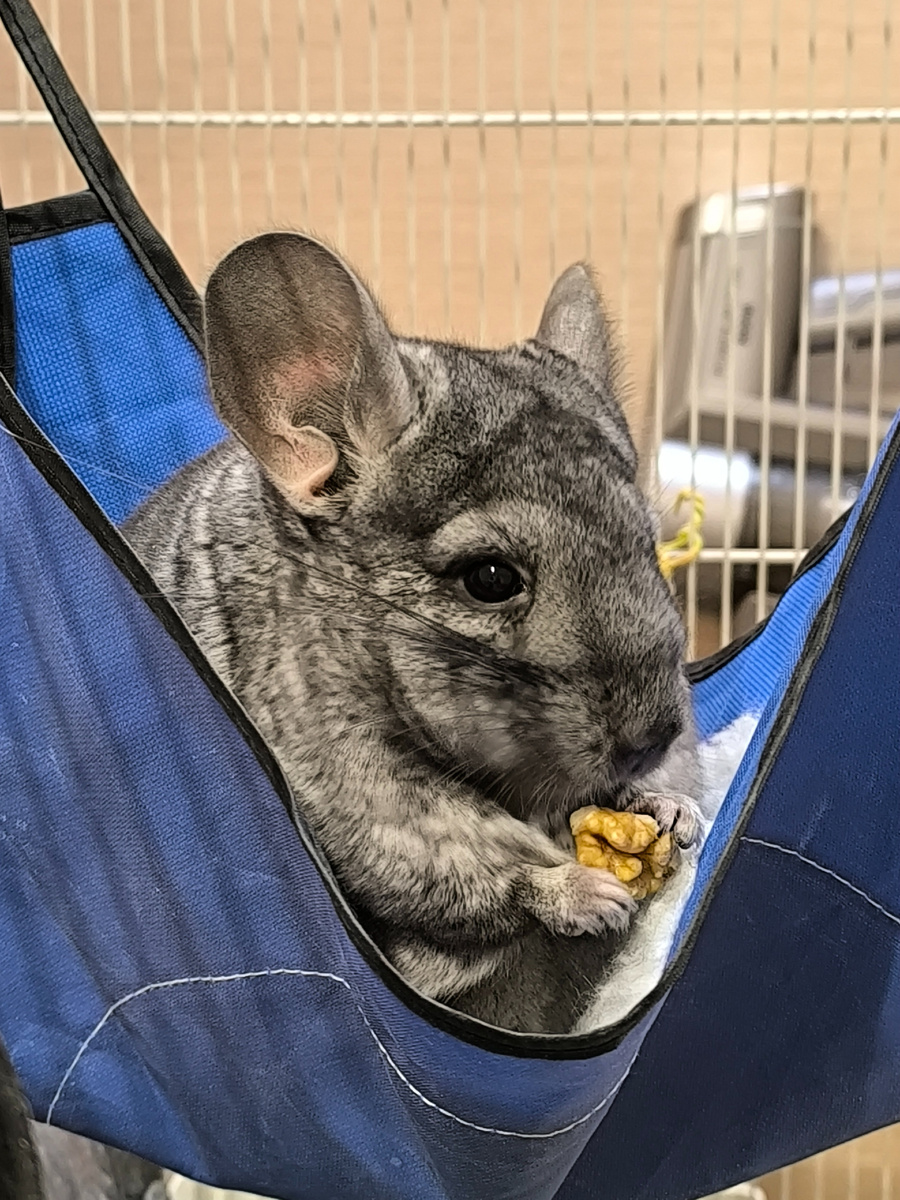 (© Анна, «Маяк энерджайзера»)