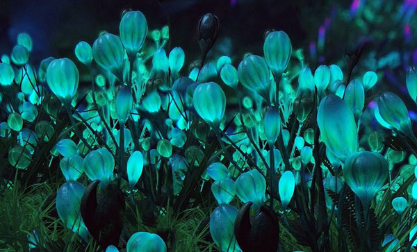 Зарядись природным светом — волшебство растений, которое не гаснет.