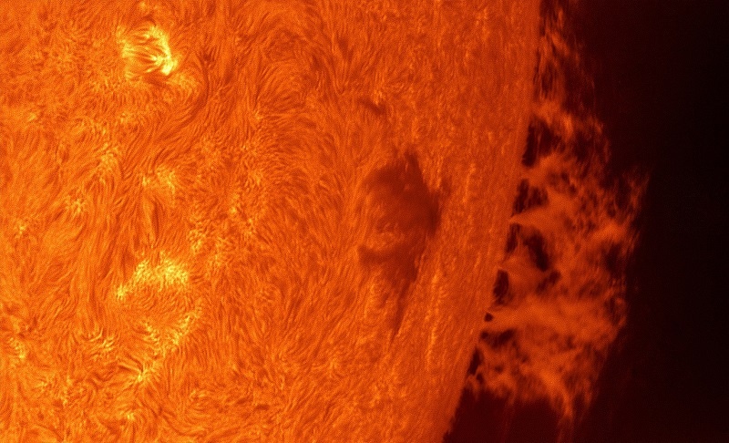    Фото Алексея Полякова