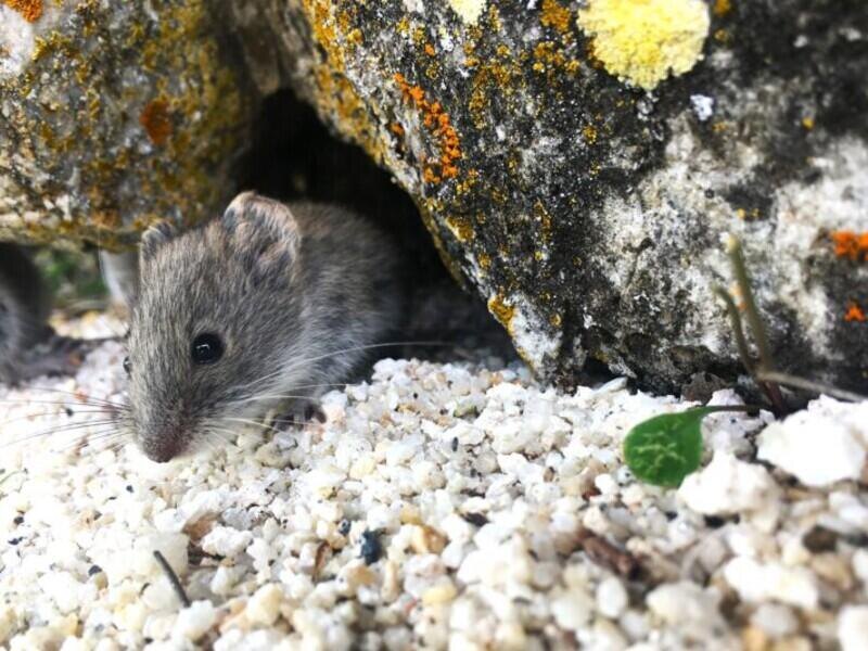 © Фото: Светлана Бабина