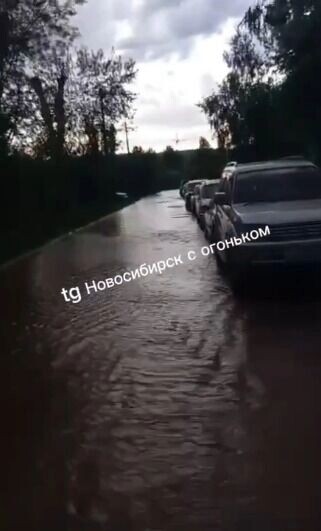     Источник: ТГ/Новосибирск с огоньком