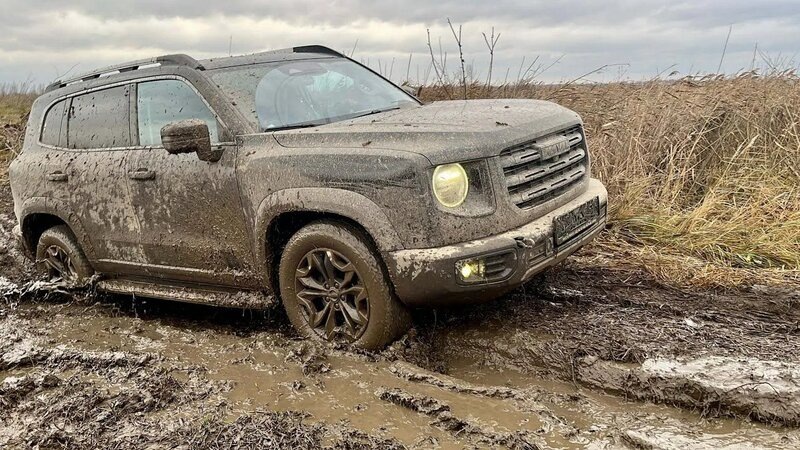 Фото заимствовано - https://yandex.ru/video/touch/preview/13569282203907725436?family=yes