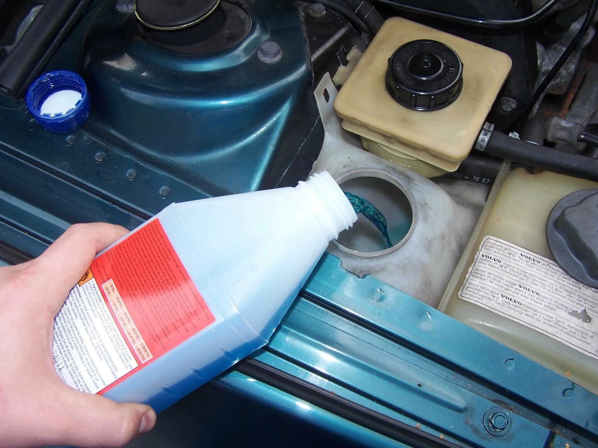 Фото заимствовано - https://kasheloff.ru/photos/kuda-zalivaetsya-voda/4