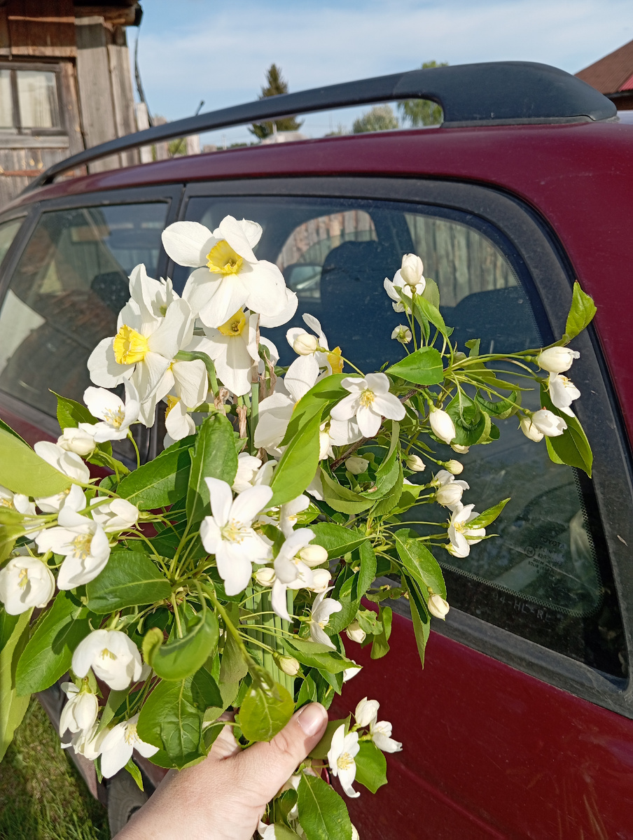 Деревенское 