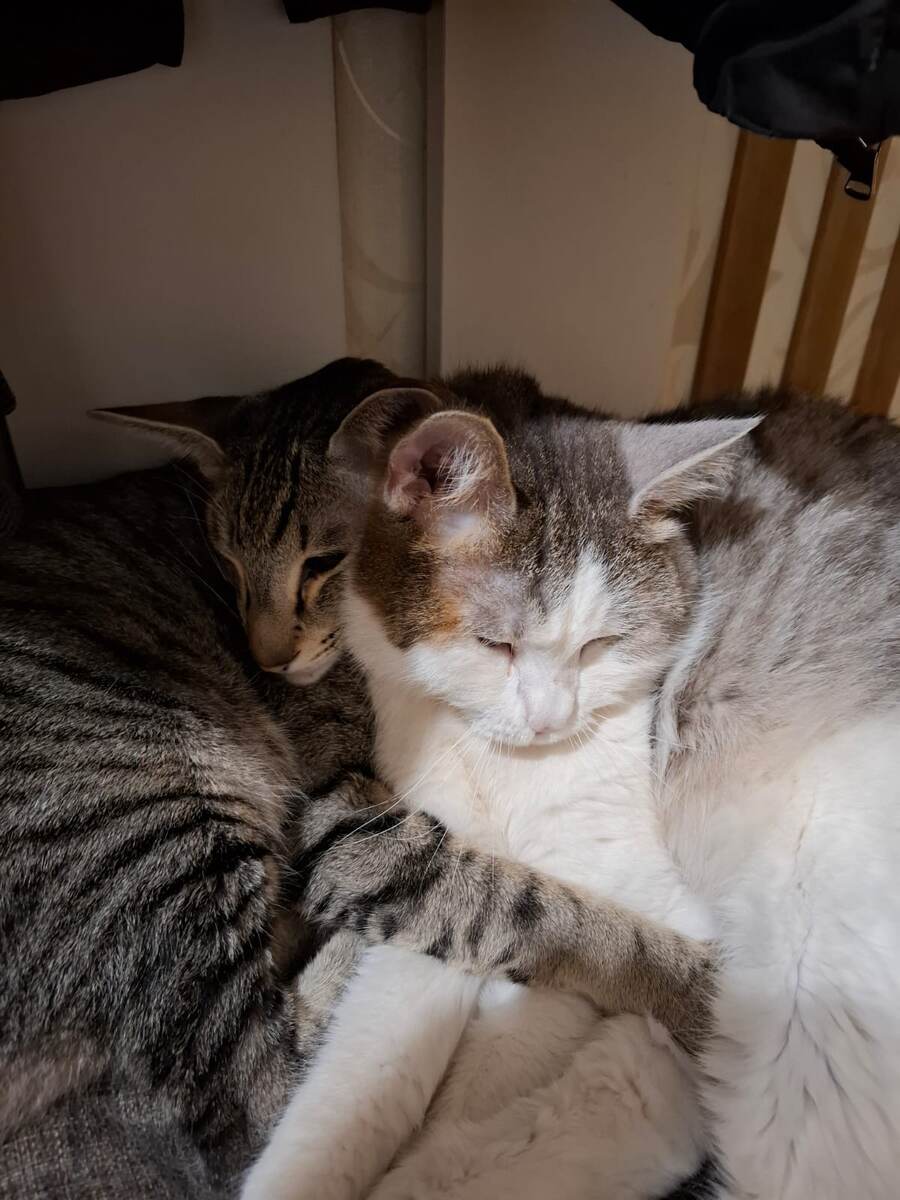 Очень любит Мишу