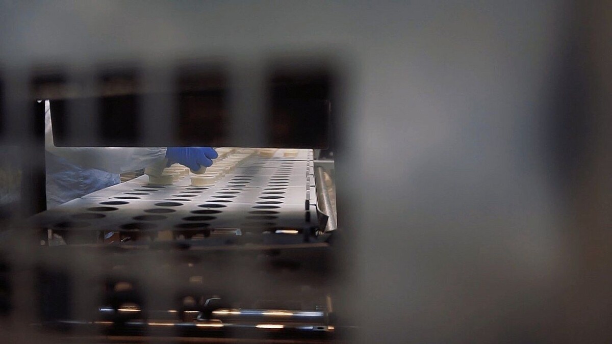    Фото: телеканал «Краснодар»