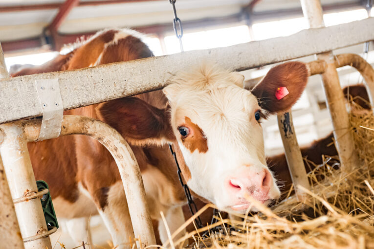 Фото: Ольги Цыкаревой