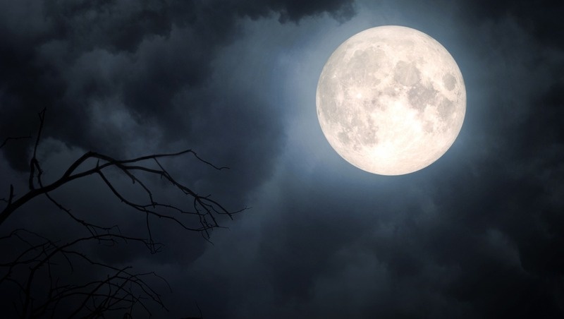 Фото: @howliekat / freepik.com