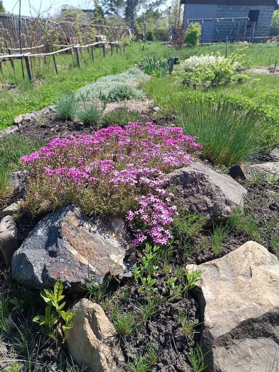 Каменистая композиция / –>