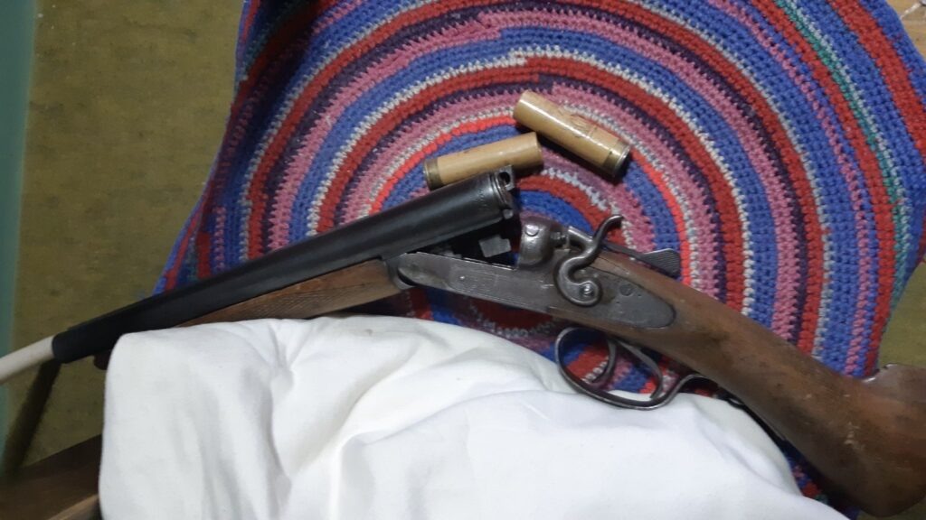    Фото: СУ СКР по Пермскому краю Алена Калашникова