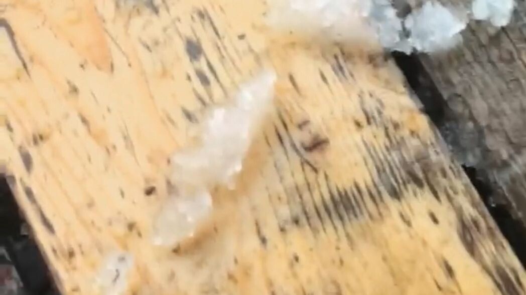     Источник: pogoda_25_region