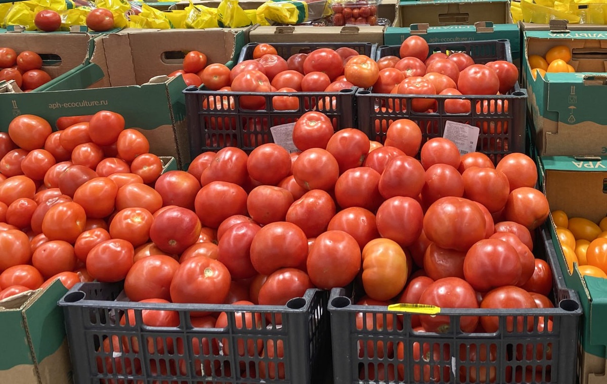    © Константин Долгановский