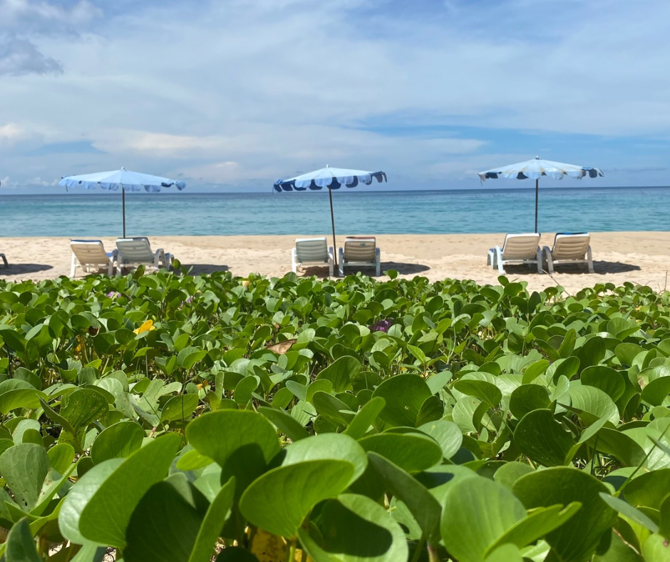 пляж Сурин в 2021 году