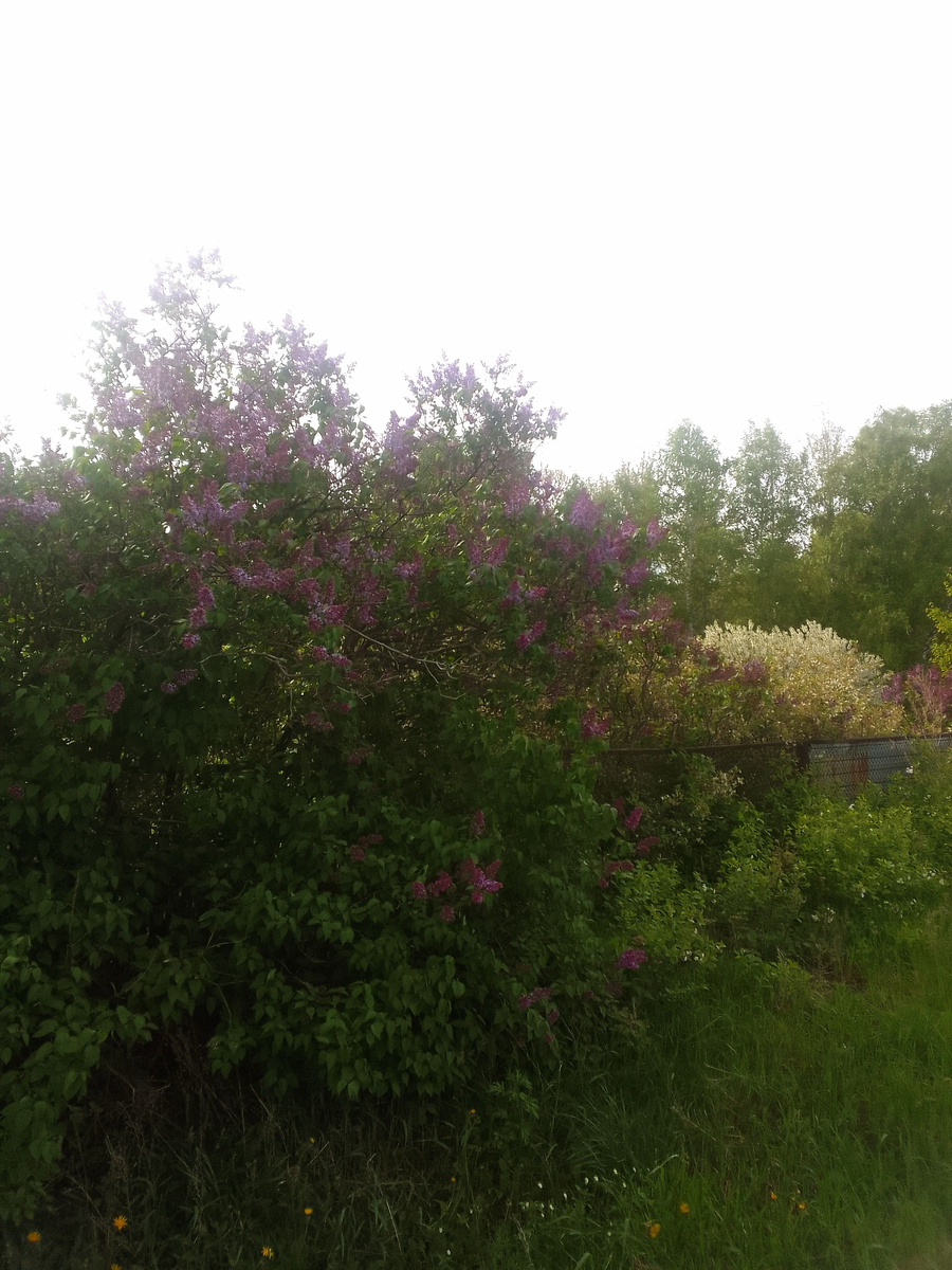 Какая красота кругом