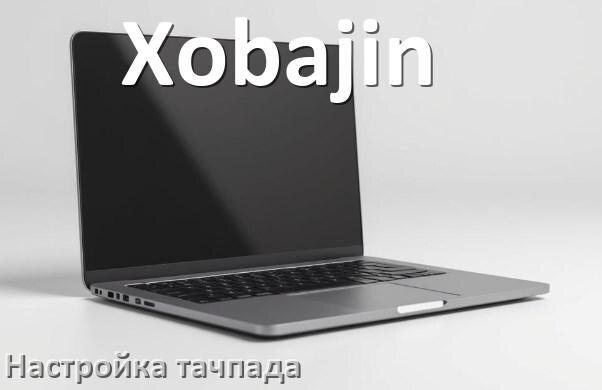 
Как на ноутбуке Xobajin включить и отключить тачпад через BIOS