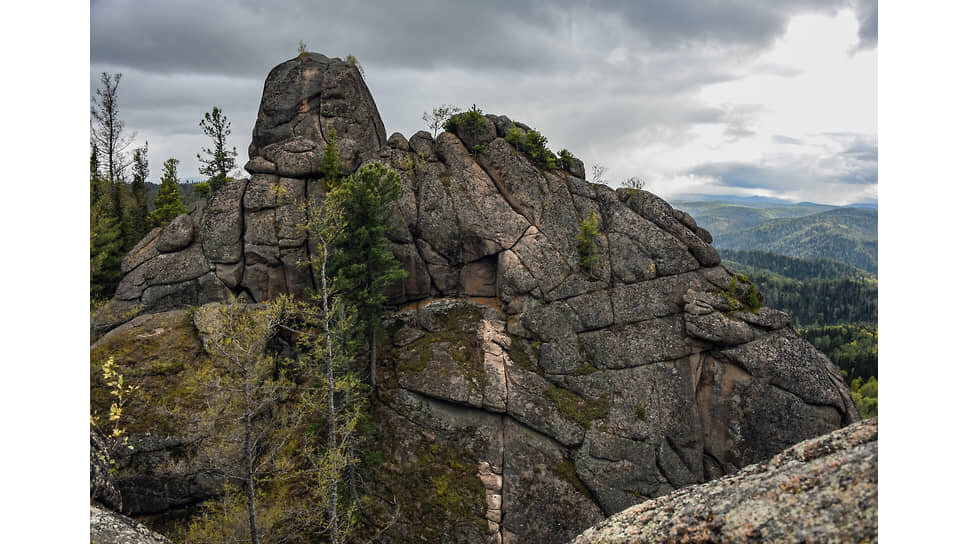 Фото: Надежда Буаллаг / Коммерсантъ