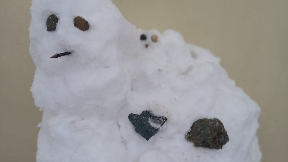     Источник: vostokmedia.com