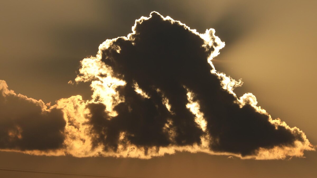    Фото: ИЗВЕСТИЯ/Александр Казаков