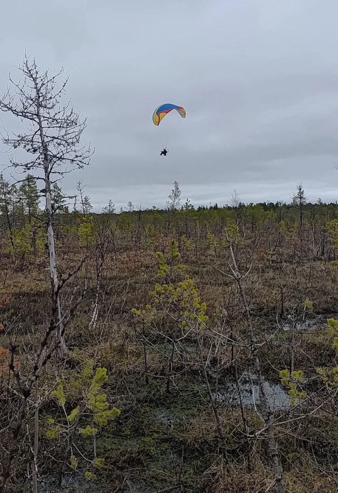    Пропавшего в тайге охотника из Советского района нашли погибшим