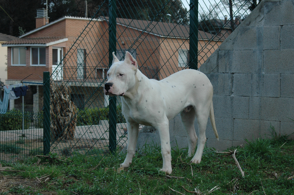 Designed by Freepik. Источник: www.freepik.com