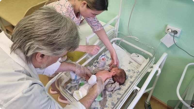    Фото: ДИП Свердловской области