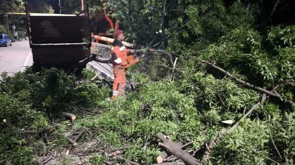    © Telegram-канал главы администрации Ялты Янины Павленко