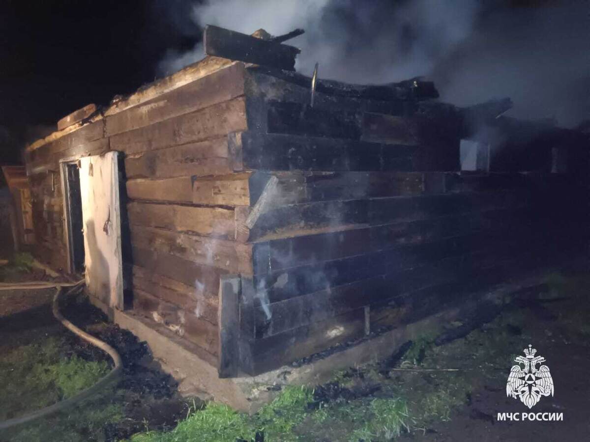    В Башкортостане из-за удара молнии сгорел сарай: погибли женщина и корова