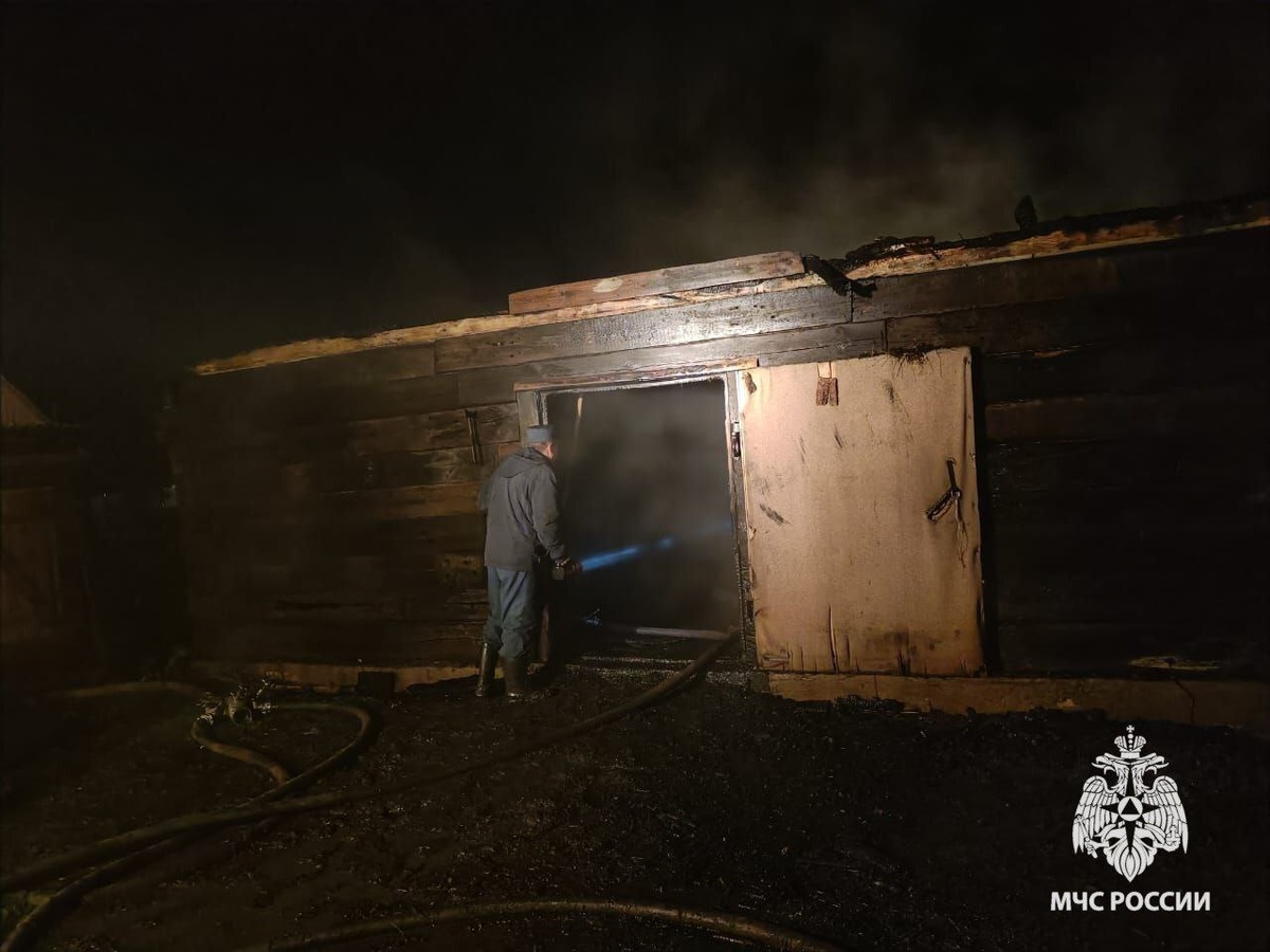    В Башкортостане из-за удара молнии сгорел сарай: погибли женщина и корова