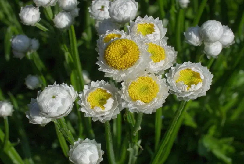 Согласитесь, необычно?