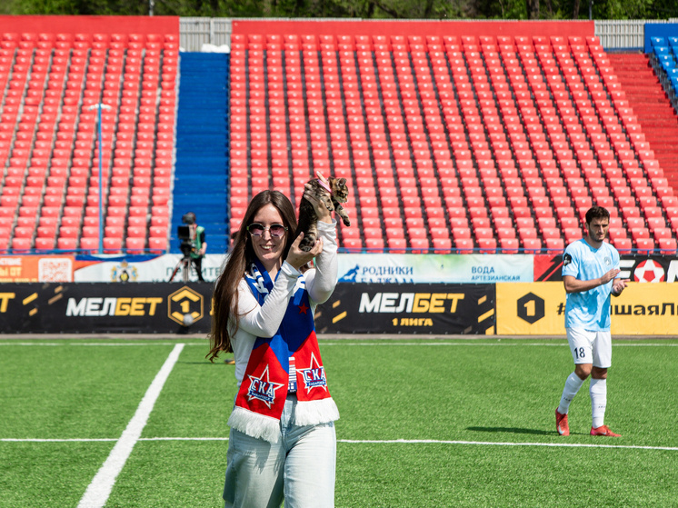     Футболисты «СКА-Хабаровска» решили помогать котикам