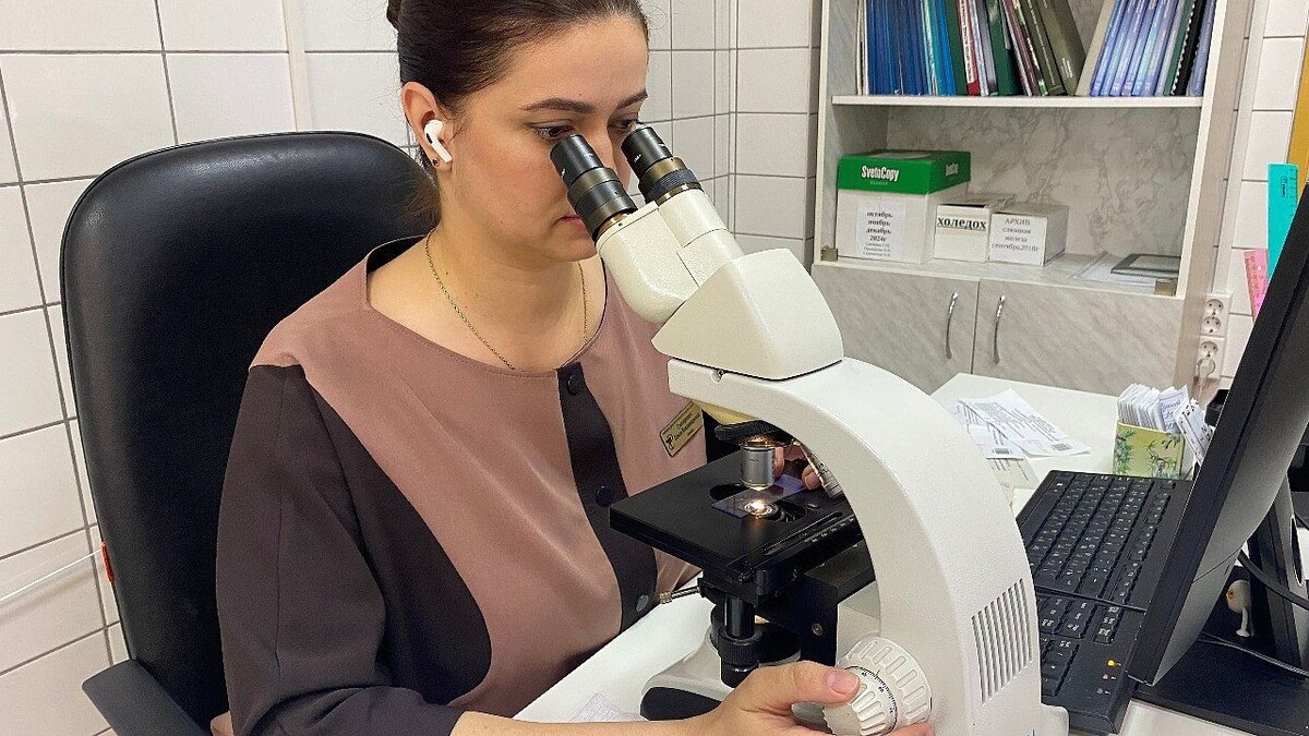    Фото: телеканал «Краснодар»