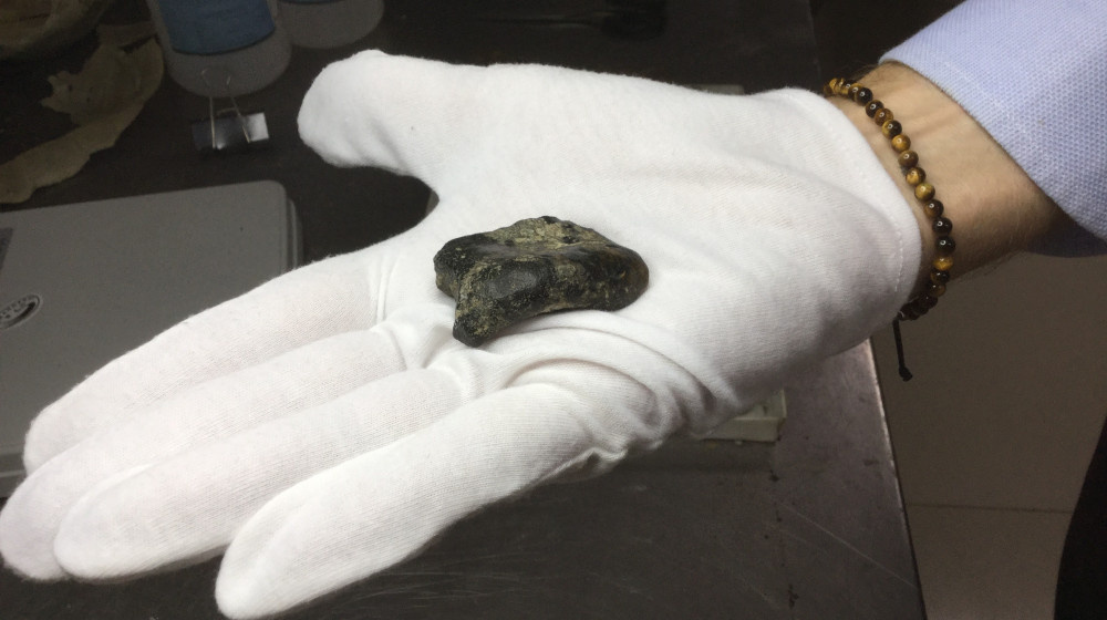    140 000-летние кости Homo erectus найдены на затопленной земле Индонезии