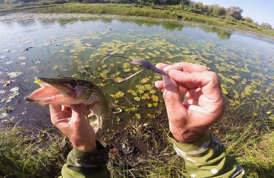 Ловля щуки в траве. Источник фото hapok.ru