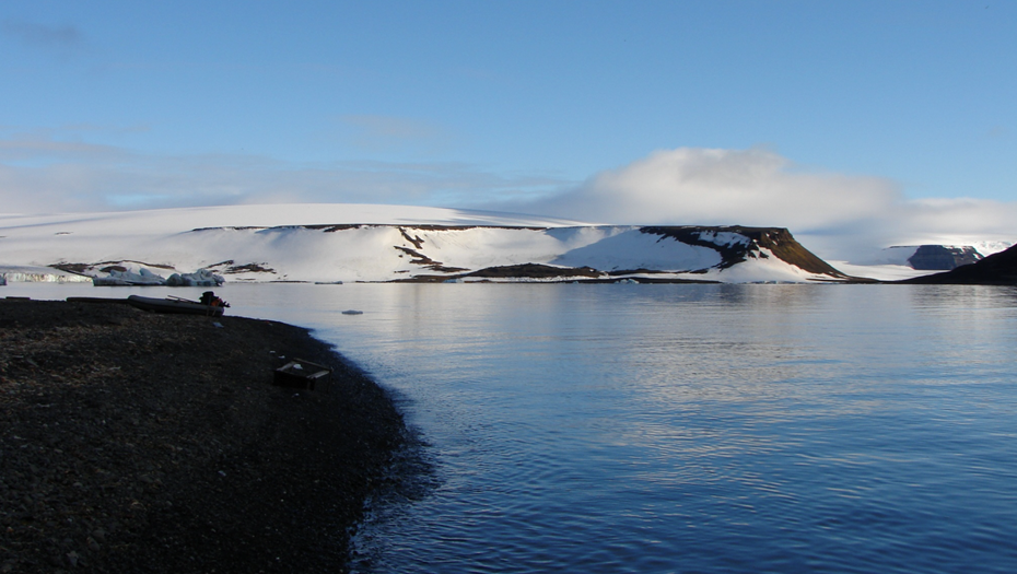    Автор фото: ТАСС